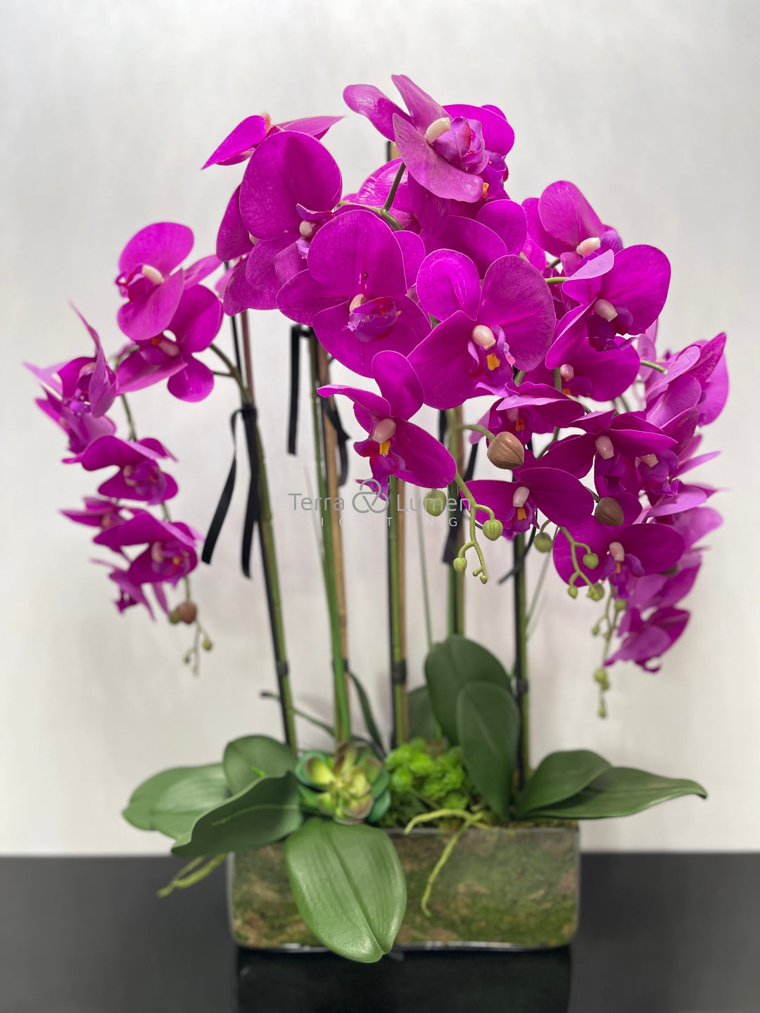 Pink Orchids in a Rectangular Vase