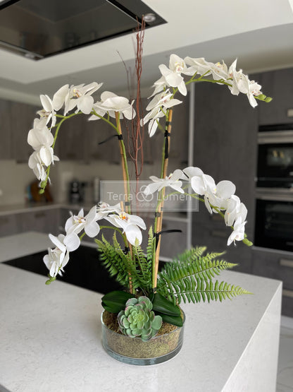 Orchid and Willow in a flat glass vase