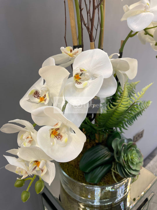 Orchid and Willow in a flat glass vase