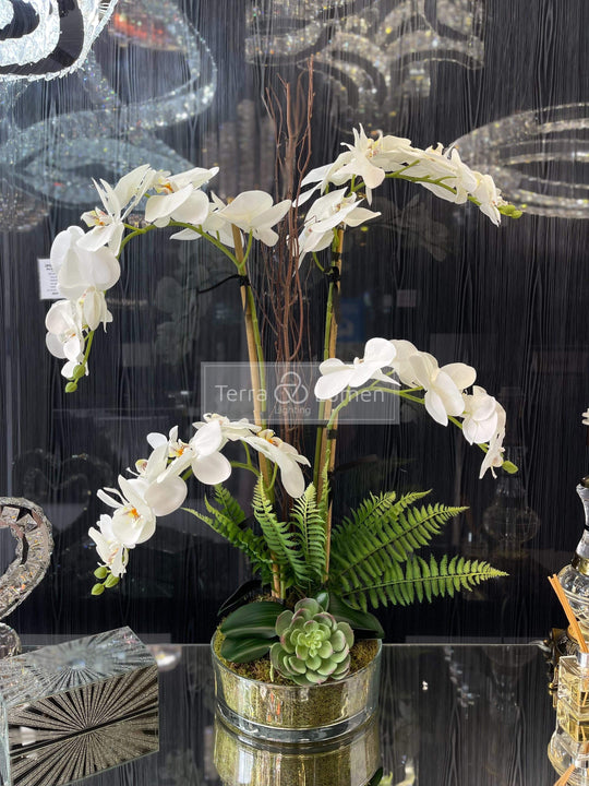 Orchid and Willow in a flat glass vase