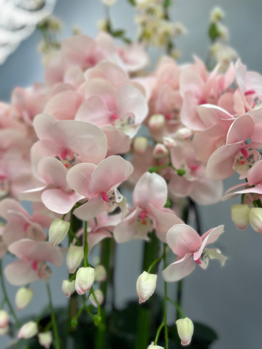 Tall Pink Orchids in Champagne Bowl