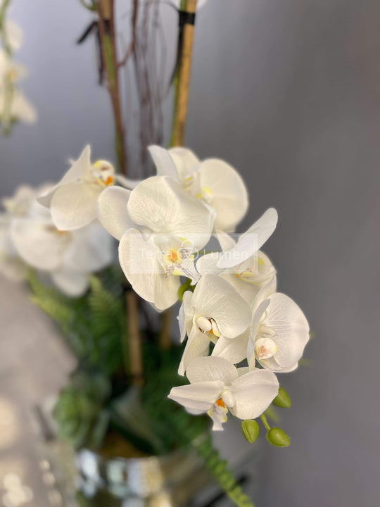 Orchid and Willow in a flat glass vase