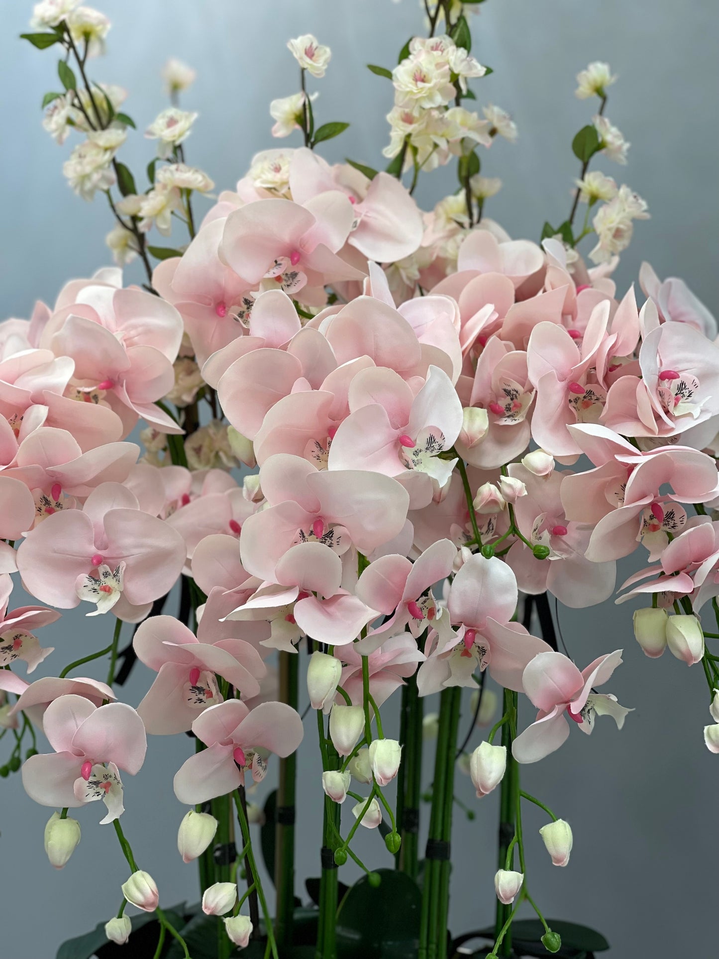 Tall Pink Orchids in Champagne Bowl