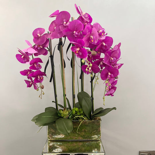 Pink Orchids in a Rectangular Vase