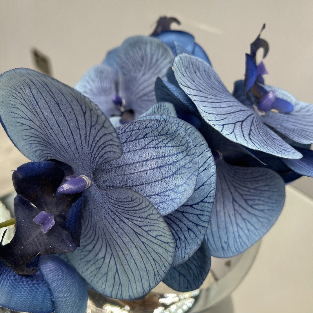 Blue orchid in a silver bowl